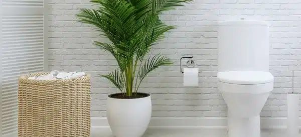 anal-fissure-treatment-tahir-surgical-clinic-gilbert-arizona Anal Fissure Treatment - Tahir Surgical Clinic - Gilbert, Arizona