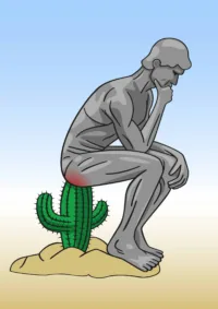 Cactus Photo Cactus Photo